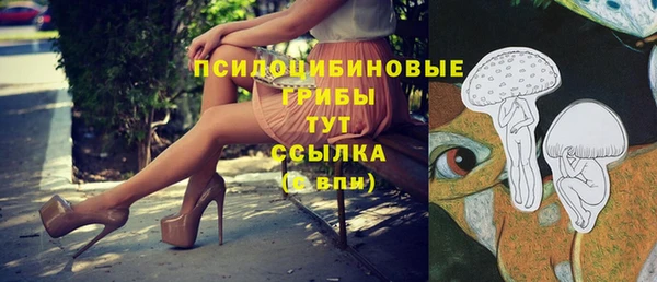 каннабис Алзамай